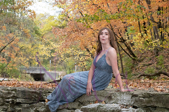Lily 0294