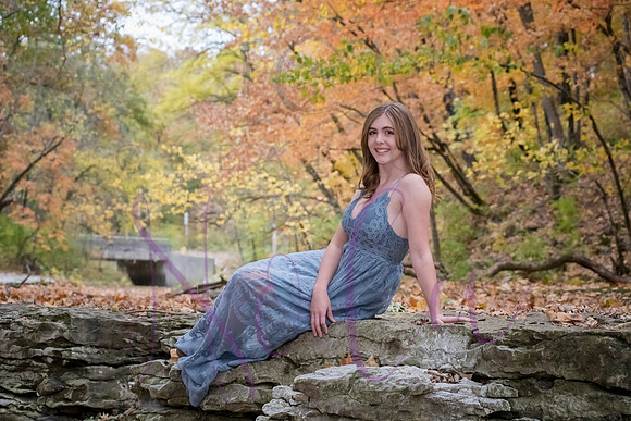 Lily 0297