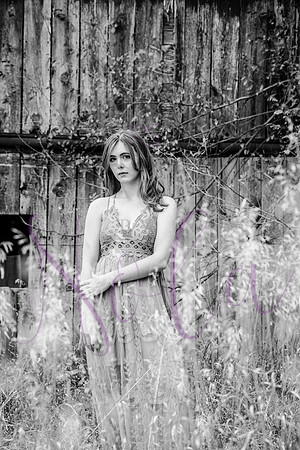 Lily 0157