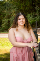 Abby senior pics 0002