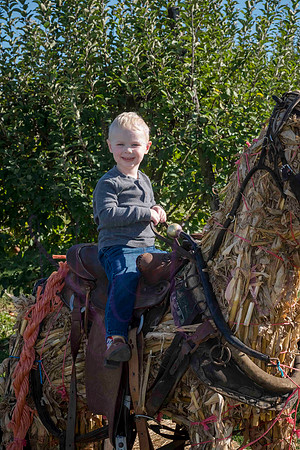 Justin Kathy 0016