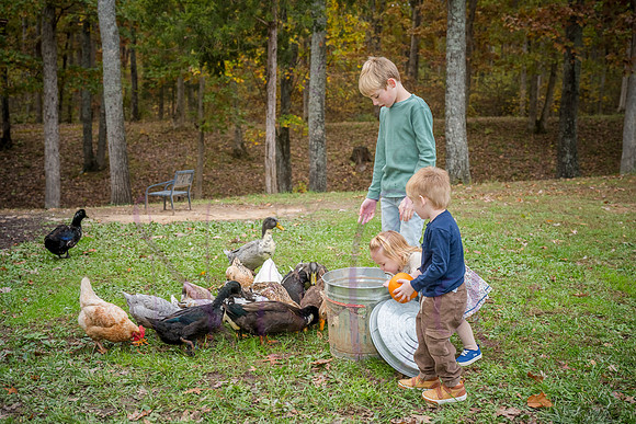 Megan Joe 2025 0415