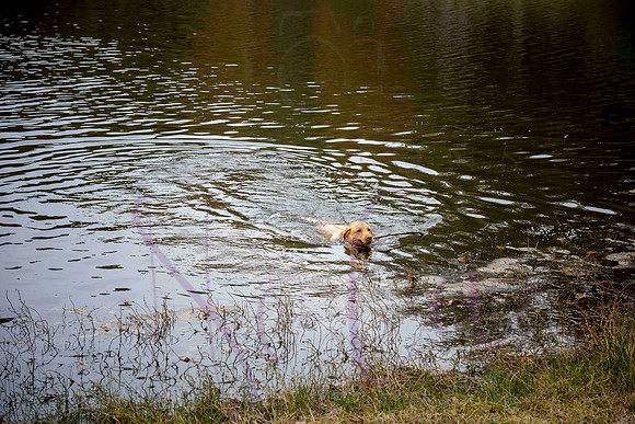 Megan Joe 2025 0193