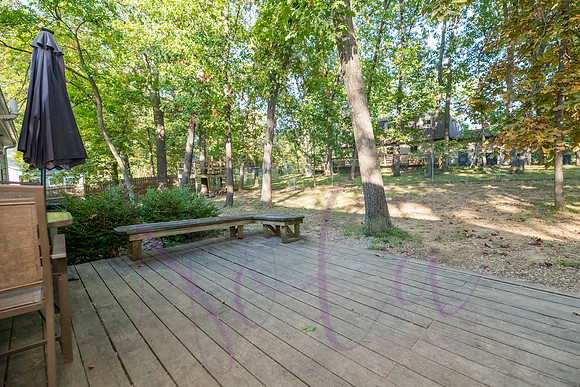 Betsy Arbor 0088