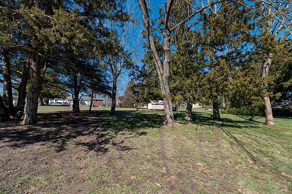 Joan Thompson Road 0146