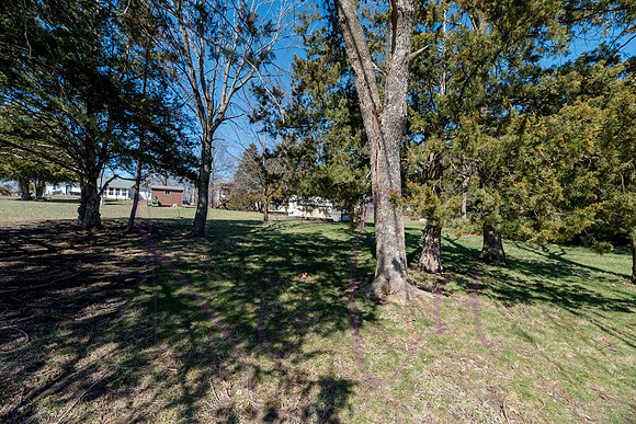 Joan Thompson Road 0147