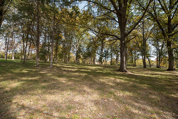 Betsy Locust Grove 0113