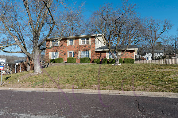 Betsy Ridgefield 0143