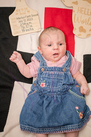 Matthew Martha Marilyn 0102