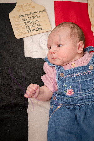 Matthew Martha Marilyn 0096