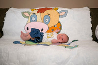 Matthew Martha Marilyn 0008