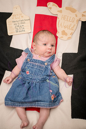 Matthew Martha Marilyn 0107