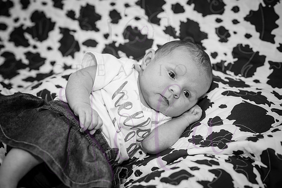 Matthew Martha Marilyn 0029