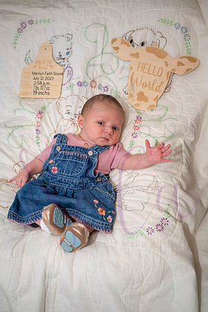 Matthew Martha Marilyn 0085