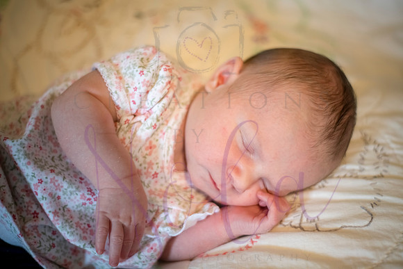 Matthew Martha Marilyn 0169