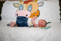 Matthew Martha Marilyn 0001