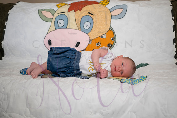 Matthew Martha Marilyn 0001