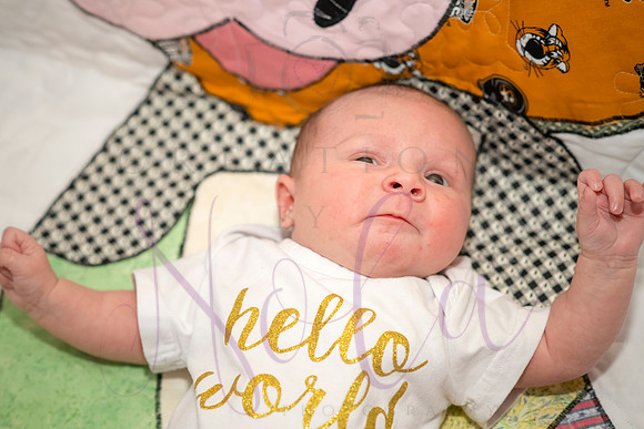 Matthew Martha Marilyn 0024