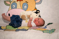 Matthew Martha Marilyn 0014