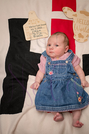 Matthew Martha Marilyn 0093