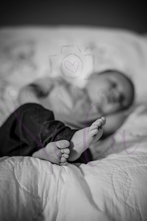 Matthew Martha Marilyn 0049