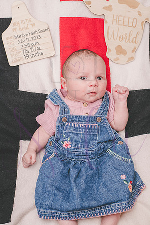 Matthew Martha Marilyn 0100