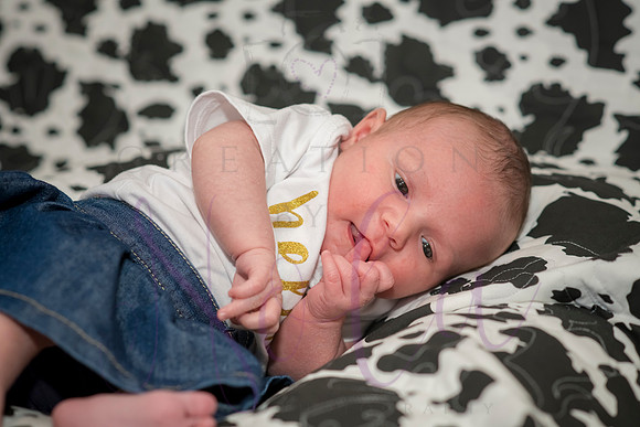 Matthew Martha Marilyn 0031