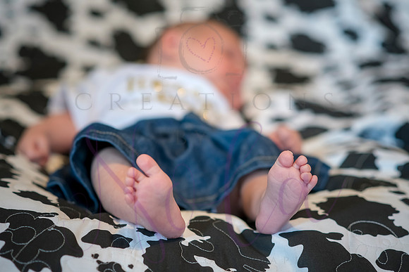 Matthew Martha Marilyn 0033