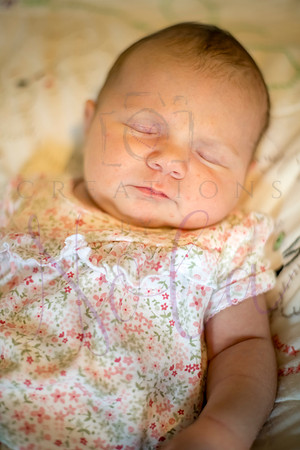 Matthew Martha Marilyn 0150