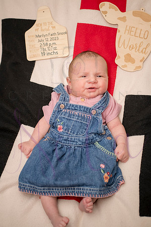 Matthew Martha Marilyn 0104