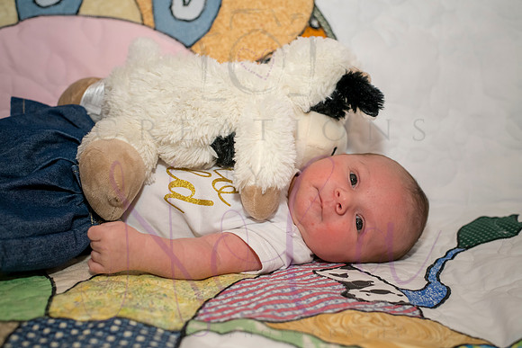 Matthew Martha Marilyn 0012
