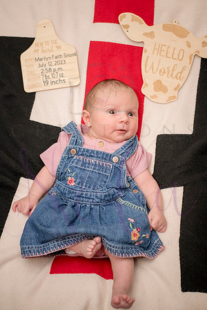 Matthew Martha Marilyn 0115