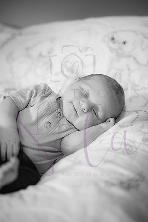 Matthew Martha Marilyn 0055