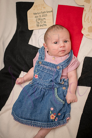 Matthew Martha Marilyn 0092