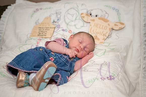 Matthew Martha Marilyn 0088