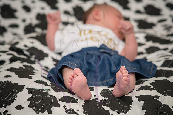 Matthew Martha Marilyn 0032