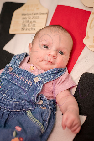 Matthew Martha Marilyn 0120