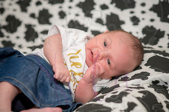 Matthew Martha Marilyn 0030