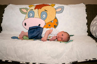 Matthew Martha Marilyn 0005