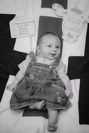 Matthew Martha Marilyn 0114