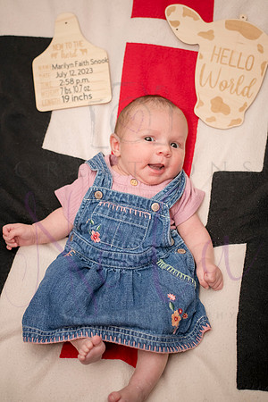 Matthew Martha Marilyn 0108