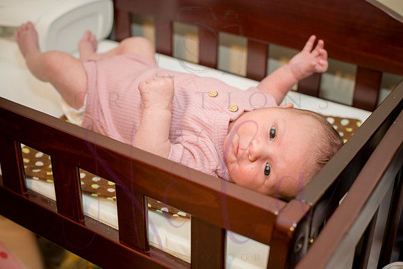 Matthew Martha Marilyn 0036