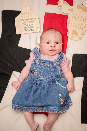 Matthew Martha Marilyn 0103