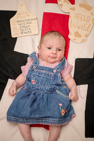 Matthew Martha Marilyn 0105