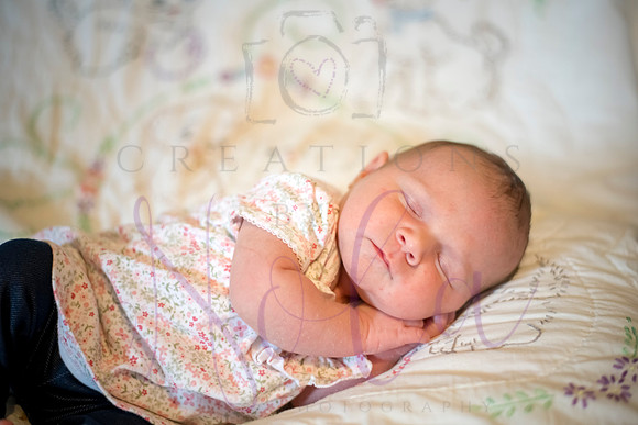 Matthew Martha Marilyn 0164