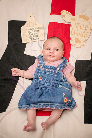 Matthew Martha Marilyn 0116