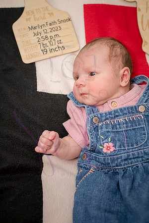 Matthew Martha Marilyn 0097