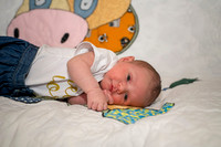 Matthew Martha Marilyn 0003