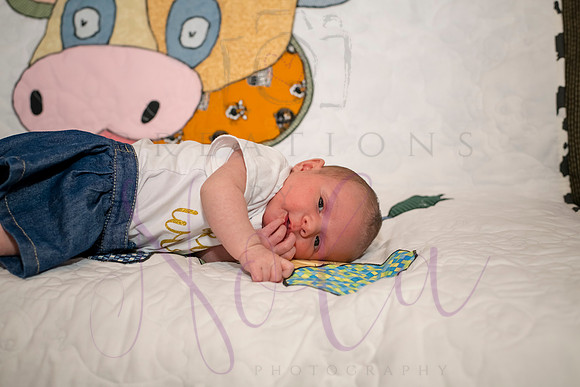 Matthew Martha Marilyn 0004