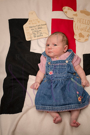 Matthew Martha Marilyn 0094